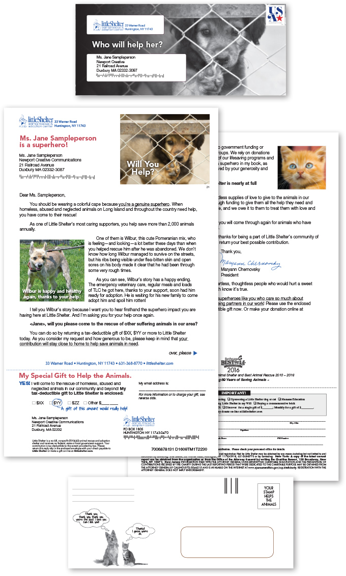 Little Shelter Animal Rescue and Adoption Center
